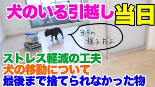 【引越し当日】犬のストレス対策・移動手段…我が家の場合