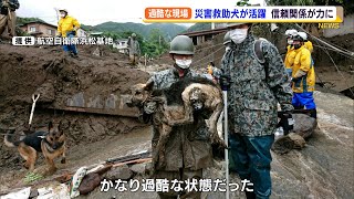 熱海土石流　災害救助犬　過酷な条件下での活躍を支えた隊員との信頼関係（静岡県）