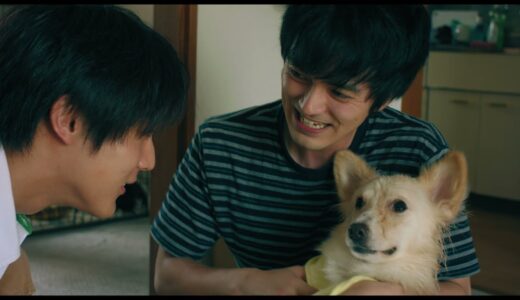 林遣都＆中川大志『犬部！』本編映像