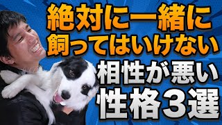 多頭飼いする時に気を付けるべき犬の性格3選