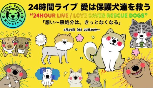 24時間ライブ　愛は保護犬達を救う（チャンネル登録者のみチャット可）Part2 8月22日2時45分〜