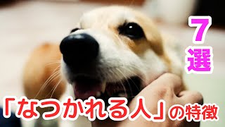 犬に「なつかれる人」になりたい！  We want to be a dog-friendly person.