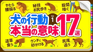 ❤️犬の行動・しぐさの本当の意味 17選【Part.1】