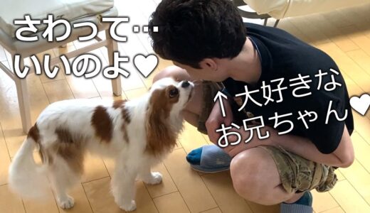 恋する乙女犬の駆け引きがめんど可愛いｗｗ