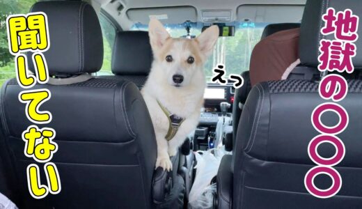 【犬とニセコ旅】旅を満喫した後はアレが待ってます！