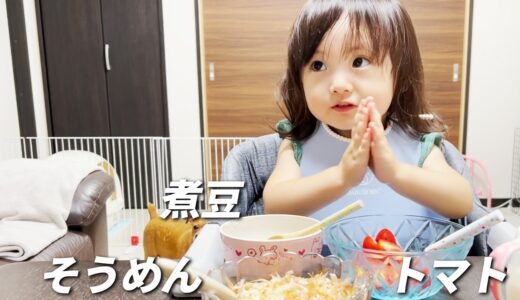 お疲れモードの犬猫を背にして昼食を食べる2歳娘