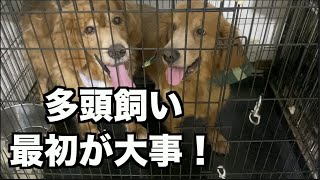 多頭飼い・トラブルを避けるには？