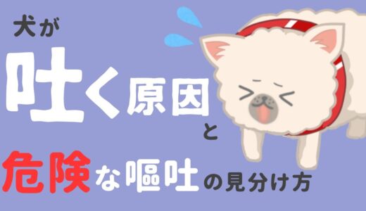 犬がよく吐くのはなぜ？吐く前触れ・危険な嘔吐の見分け方