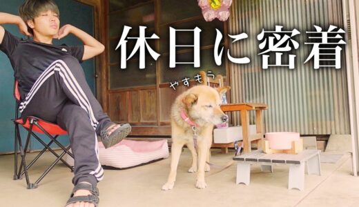 【休日ルーティン】犬と暮らすぼっちニートの家族と過ごすお盆休み