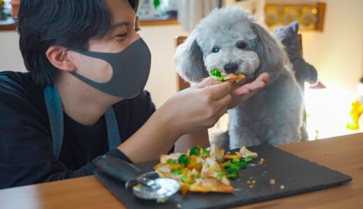 🐶犬でも食べられるピザを作ってみた！(アクシデント多発w)