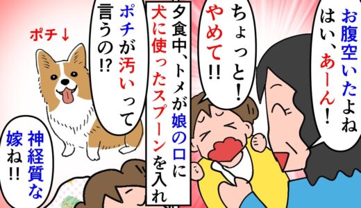 【漫画】トメ「ポチは家族なのに！犬扱いしないで！」良トメたちと義実家で食事中トメが娘にごはんをあげた→犬に使ったスプーンを使いまわしたのでやめてほしいと伝えると怒られ…（スカッと漫画）【マンガ動画】