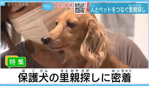 人とペットをつなぐ　保護犬の里親探しに密着