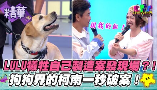 【LULU為了測試血跡偵蒐犬不惜現場放血？！這集的節目怎麼犧牲者那麼多ＸＤ！】｜綜藝大熱門