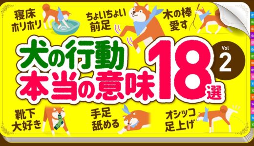 ❤️犬の行動・しぐさの本当の意味 18選【Part.2】