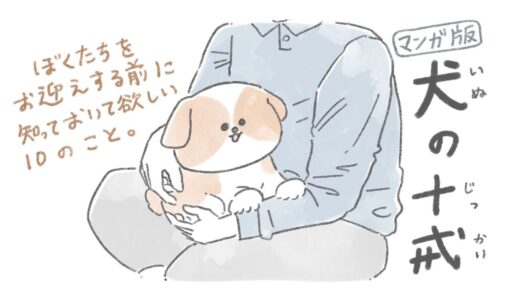 【犬の十戒】いぬと暮らす上で覚えておいてほしい10のこと【マンガ】