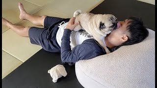 失意のドン底でなげく飼い主をやさしく励ますパグ犬ぷぅPug