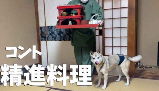 【わんこと宿坊編】精進料理にガッカリする犬がまるでコントでした🐕🐾