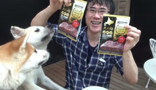 ドッグフードにエゾ鹿肉ステーキをのせて秋田犬に与えてみた結果