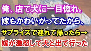 【スカッと】俺、犬に一目惚れ。嫁にサプライズで連れて帰ったら、嫁が激怒して犬と出て行き…