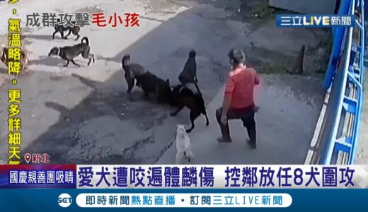 新北新店”黑犬群”把飼主愛犬咬遍體麟傷 遭咬犬隻飼主指控鄰居放任8犬圍攻 動保處要求”繫繩.戴罩”違規最重罰15萬｜記者 洪琮翔 戴偉臣｜【LIVE大現場】20210924｜三立新聞台