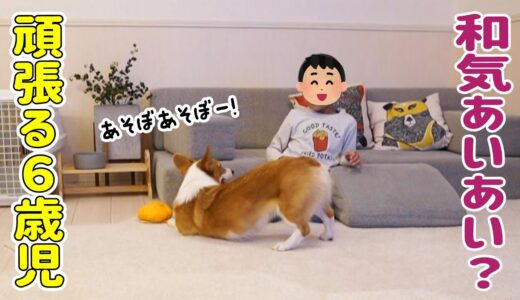 【犬とこども】愛犬と息子がふたりっきりの時何してる…？