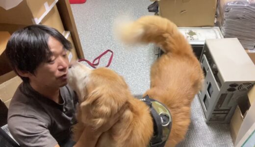 大型犬の脾臓ガン摘出と膵炎治療（10日入院）の費用を参考までに