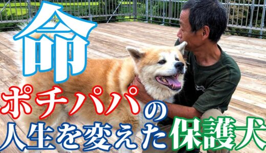 愛すべき咬み犬・命(アキラ)〜ポチパパの人生を変えた保護犬〜