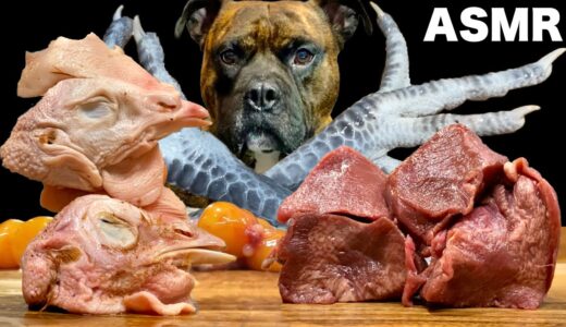 【大食い犬ASMR】生肉ざんまいを堪能する愛犬が愛おしいwww