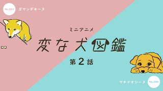 【ミニアニメ・変な犬図鑑】第２話　No.3 ガマンデキーヌ / No.4 マチドオシーヌ