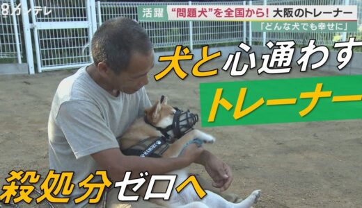 「問題行動」専門のドッグトレーナー「ポチパパ」　犬と心通わし…目指す「殺処分ゼロ」