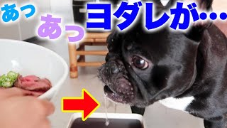 犬用ローストビーフを朝から食す犬