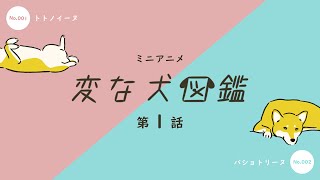 【ミニアニメ・変な犬図鑑】第１話　No.1 トトノイーヌ / No.2 バショトリーヌ