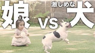 激しい犬と次女を戯れさせた結果、、、