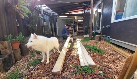 犬と私と山小屋の休日、10月上旬