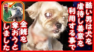 恐ろしい男は捕まえた犬を虐待し続ける事で人の善意を利用し金銭を稼いでいました。世界の動物たちの話題を、慣れない翻訳で動画にしてみました。誤った表現がありましたら、どうかご勘弁ください、、。