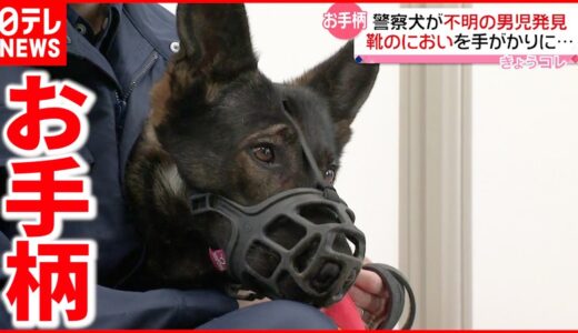 【表彰】警察犬  行方不明の男児(８)を発見  賞状とドッグフード贈呈