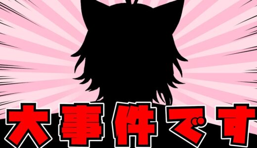 【神回】とんでもないことが起きたWWWWWW【莉犬】