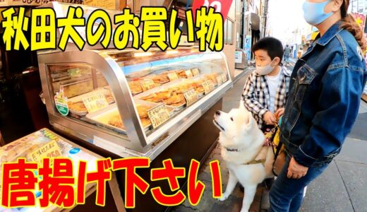 唐揚げくださいな♪秋田犬そうすけ君のお買い物（尾久銀座鳥茂さん）【VLOG】