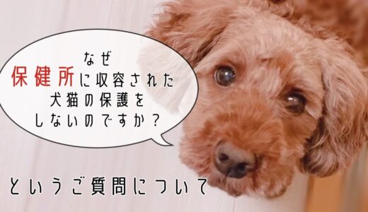 「なぜ保健所に収容された犬や猫の保護をしないのですか？」というご質問について。