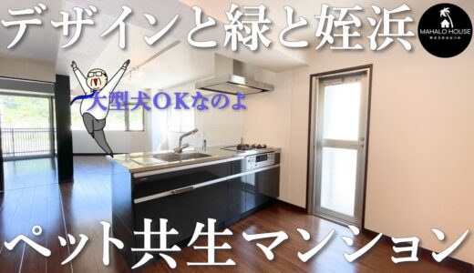 【かっちょいい2ＬＤＫ】大型犬もＯＫな珍しいマンション　オススメの姪浜まで近い【福岡の不動産】