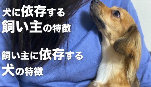 犬に依存してしまう人の特徴と飼い主に依存している犬の特徴