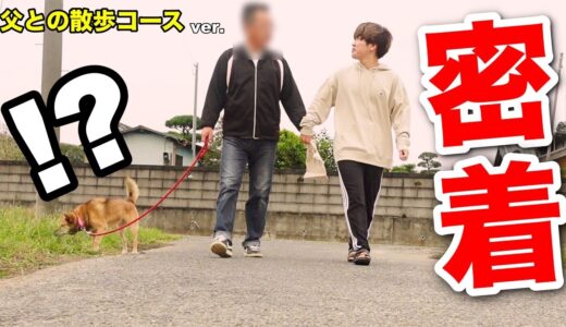 【TikTokで話題】雑種犬コロちゃんの父親との散歩コースに密着