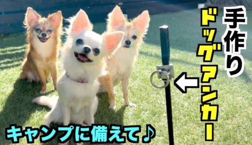 【DIY】犬連れキャンプで大活躍！？ドッグアンカーを手作りしてみた♪