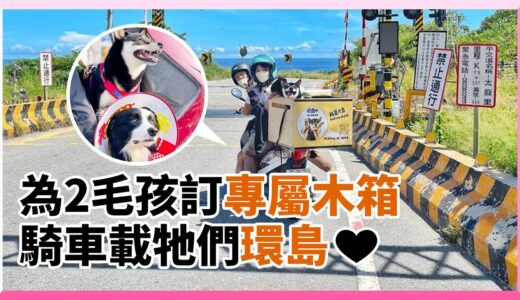 騎老車帶邊境犬+柴犬環島　訂製兩狗專屬木箱追風｜寵物動物｜狗狗