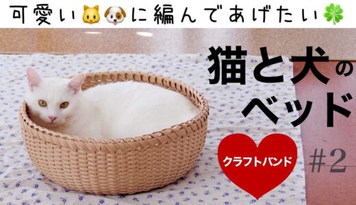 猫ベッド・犬ベッド(ペットベッド)の作り方　#2 簡単丈夫なナチュラルカゴベッドをクラフトバンドで編みます。猫かご