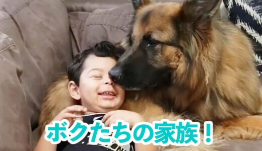 大きな犬と子供たちが一緒に生活すると… そこには愛情いっぱいの光景がありました