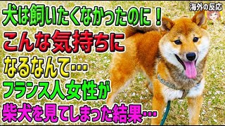 【海外の反応】「犬は飼いたくなかったのに！こんな気持ちになるなんて…」フランス人女性が柴犬を見てしまった結果…【日本人も知らない真のニッポン】