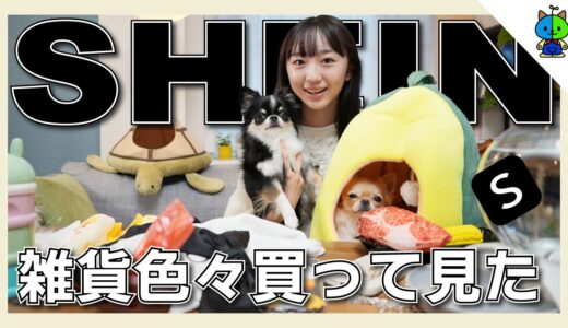 【SHEIN】服だけじゃ無かった！スマホケースや犬グッズなど大量に買って見た結果…👚【ももかチャンネル】