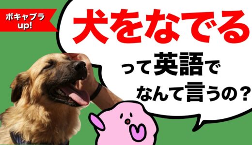 犬をなでる/さか立ちする/くすぐるって英語で言える？知ってるようで知らない英語のボキャブラリー【大人のフォニックス】[#256]