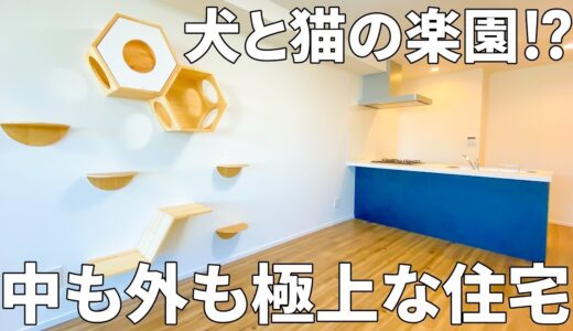 驚愕の飼育条件！？保護犬と保護猫のためのに作られた賃貸マンション【一人暮らし×ペット】 #イヌネコヒルズ